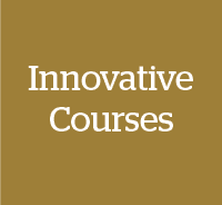 MS in Business Analytics Innovative Courses